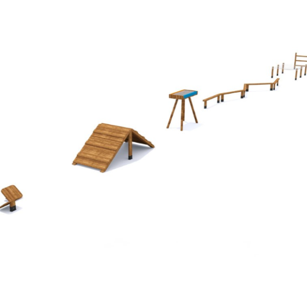SURVIVOR PARK D - 1